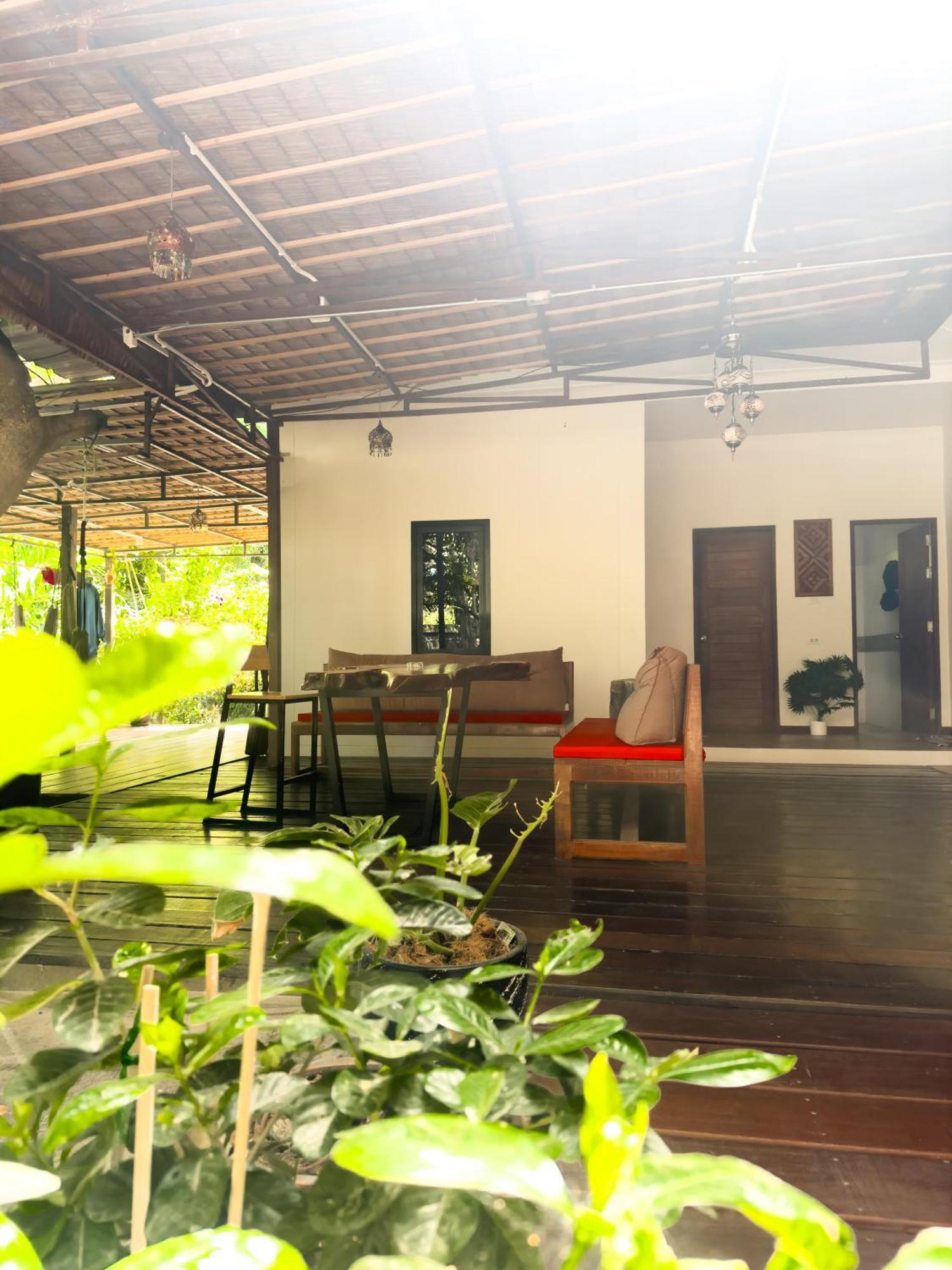 通萨拉 Jungle Vibes酒店 外观 照片